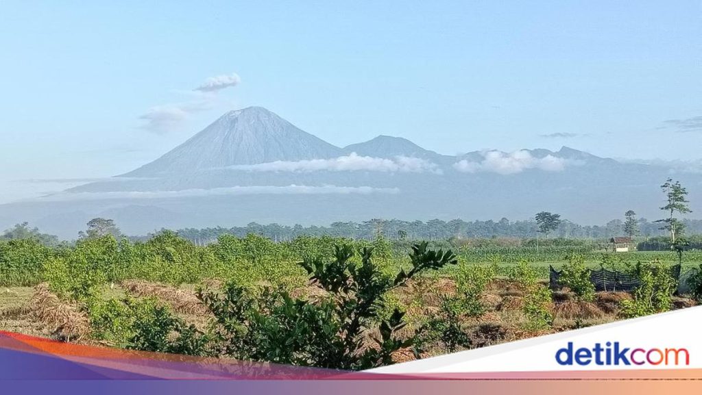 Gunung Semeru Erupsi 4 Kali Pagi Ini, Tinggi Letusan Capai 1.000 Meter