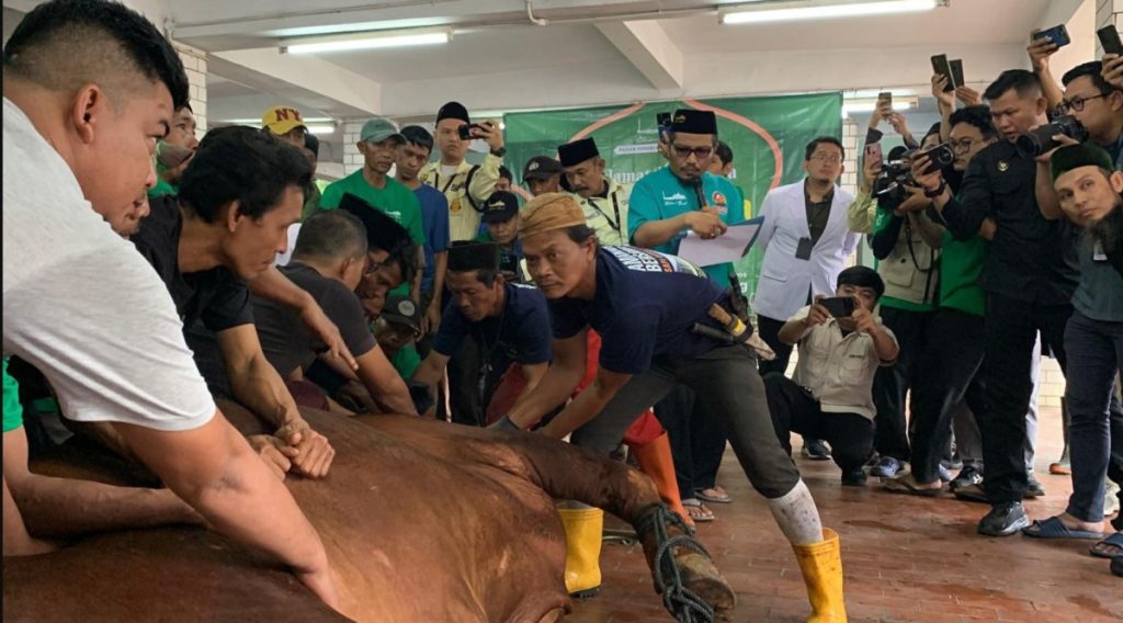 Berapa Bayaran Tukang Jagal Hewan Kurban? : Okezone Economy