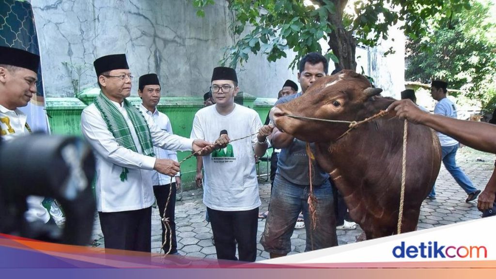 PPP Gelar Kurban Serentak Nasional, Lebih dari 100 Hewan Disalurkan
