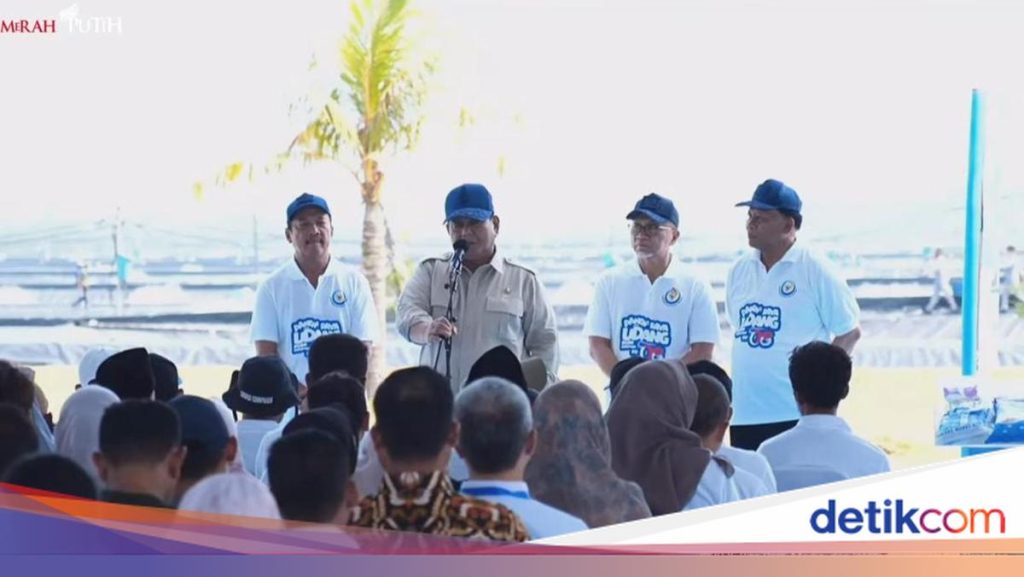 Tambak Udang di Kebumen Hasilkan 40 Ton per Ha, Prabowo: Sangat Menjanjikan