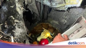 Sapi Kurban di Mojokerto Nyemplung Septic Tank, Damkar Evakuasi 3 Jam Lebih
