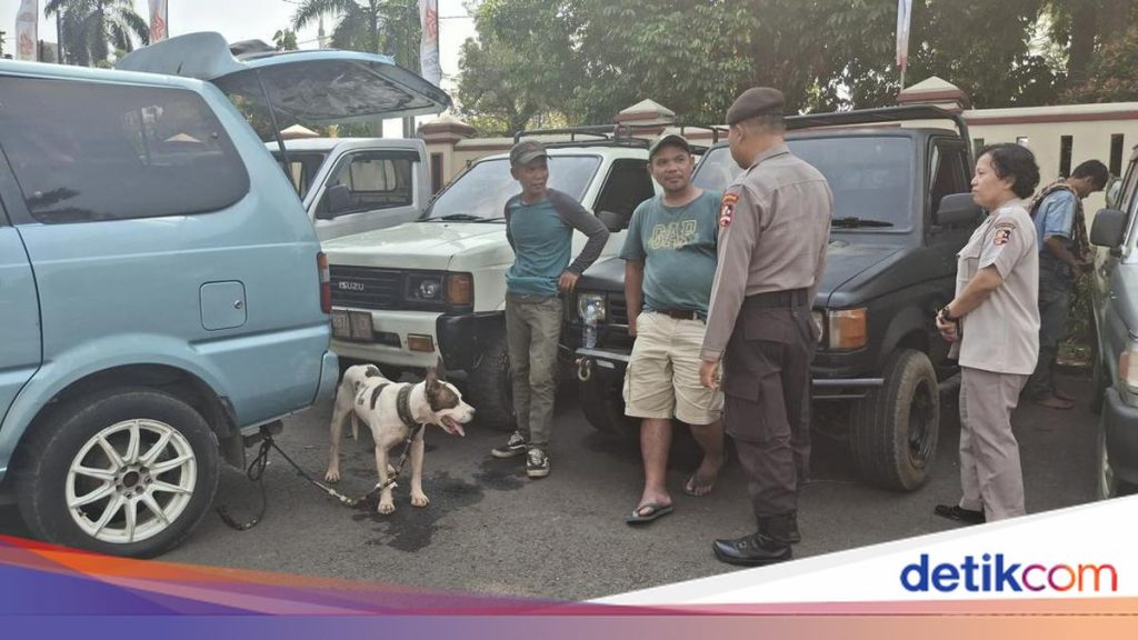 Horor Anjing Pemburu Babi Hutan Tewaskan Bocah di Bogor