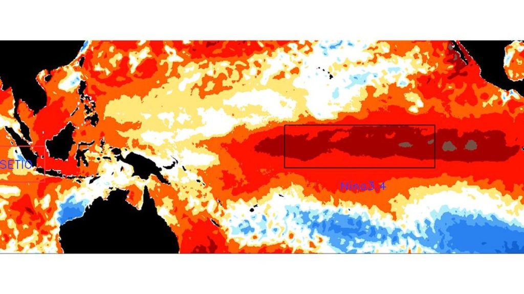 El Nino Kuat Berpotensi Terjadi di Akhir 2026, Ini Tanda-tandanya