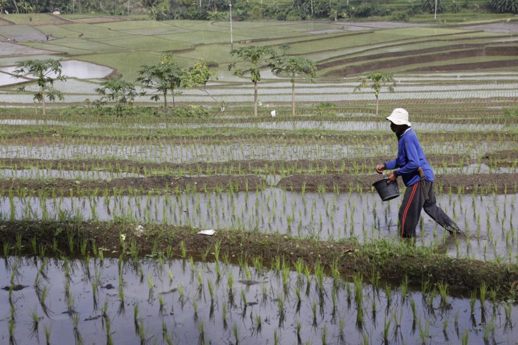 Rekrutmen Petugas Sensus Pertanian 2026 Bergaji Rp8 Juta, Kementan: Hoaks : Okezone Economy