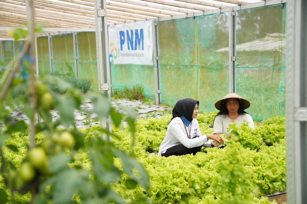 Komitmen Terapkan ESG, PNM Raih Empat Penghargaan di Indonesia Sustainability Award : Okezone Economy