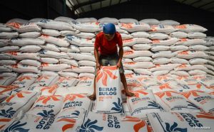 Bulog Bangun 2 Gudang Baru di Merauke, Idealnya Papua Butuh 40 Gudang : Okezone Economy