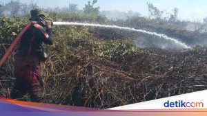 Karhutla di Kobar Kalteng, 8 Hektar Lahan Hangus Terbakar dalam 2 Hari