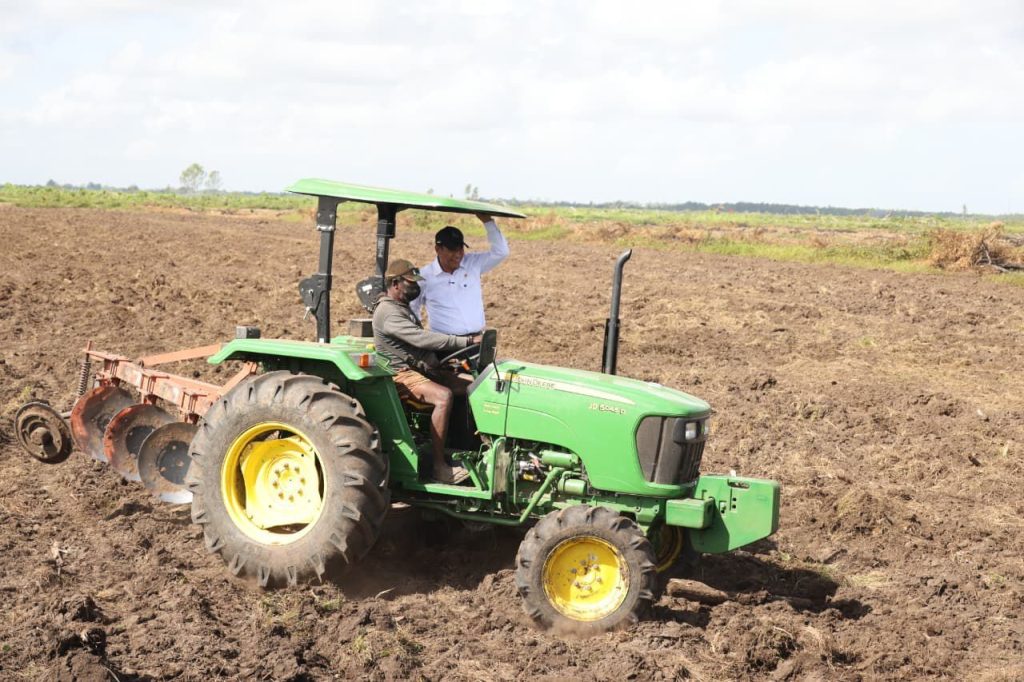 Petani Merauke Disebut Makin Sejahtera, Mentan Ungkap Sudah Pakai iPhone : Okezone Economy